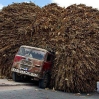 Transporte 20.jpg
